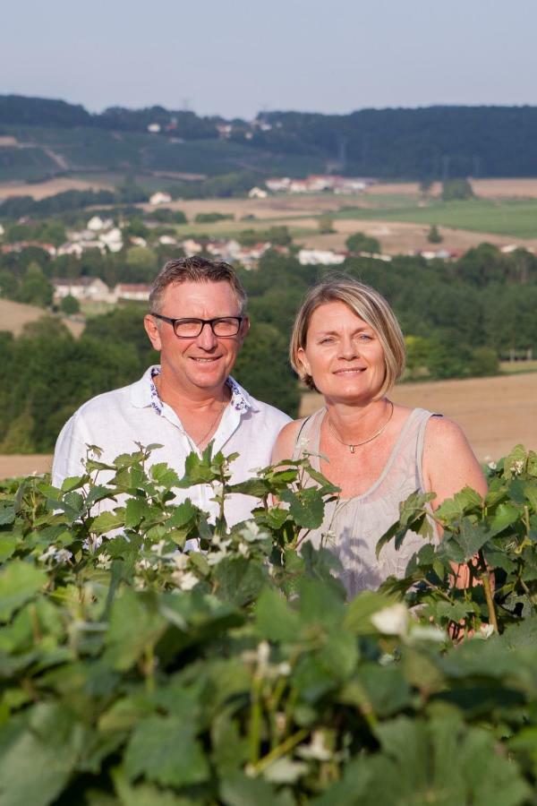 Villa La Boulonne Festigny  Exterior foto